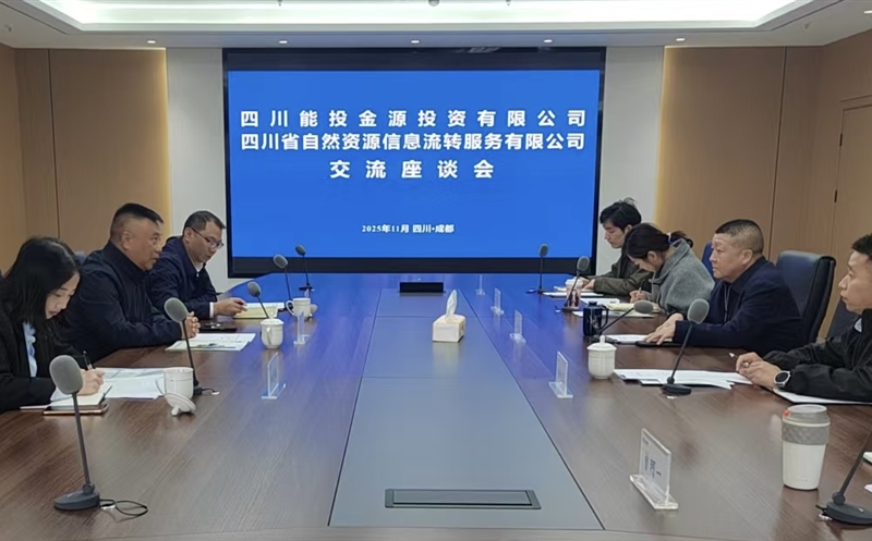 ԴЭ ƻıĴʡͶԴͶ޹˾תЧ͹˾չ̸