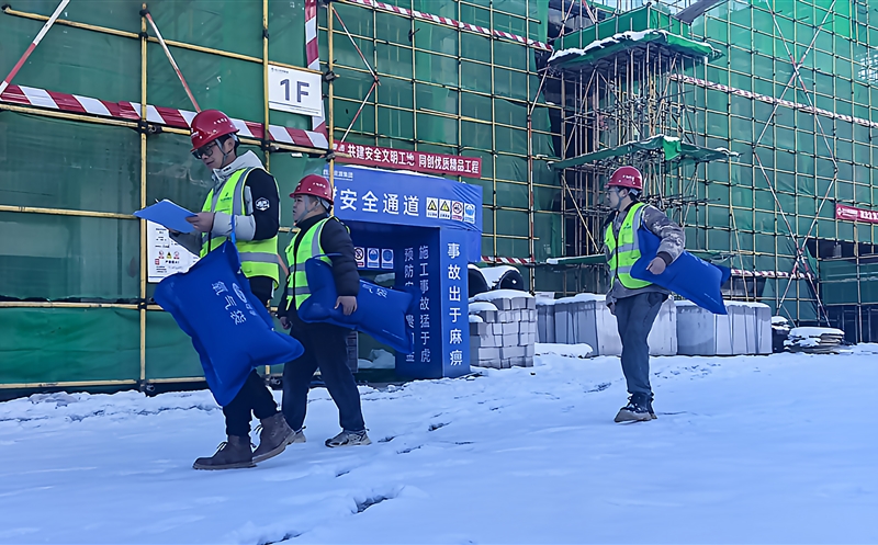 ѩԭļبO˾޹ Ŀѩʵ