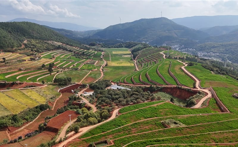 ��ʱ���� ��Ϊ���Ż���ƪح���������Ĵ���������Ʒչ���壩