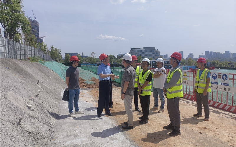 ������������������˾�ƴ�԰��Ŀ��չ����ר����