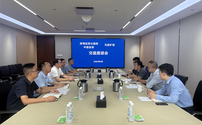 ���ծȯҵ������������ ����˾��̸����