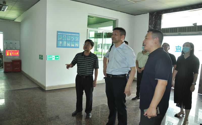 ͿТ��һ�е�̩������ҩ��չ���Ľ��衢������������ͷ������������ʽ�ල